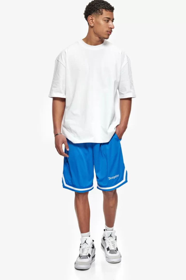 logo_mesh_short_royal_blue_4.webp Hot Dropsize Logo Mesh Short Royal Blue